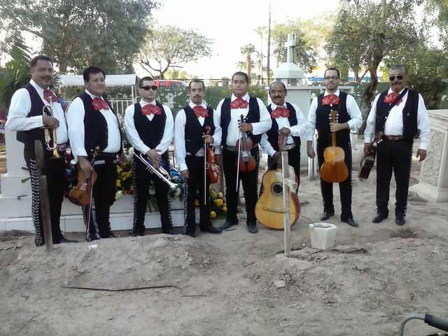 Sin Nombre
